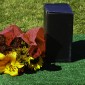 Flowers & Urn
